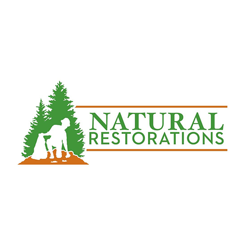 White Logo 500px- Natural Restorations