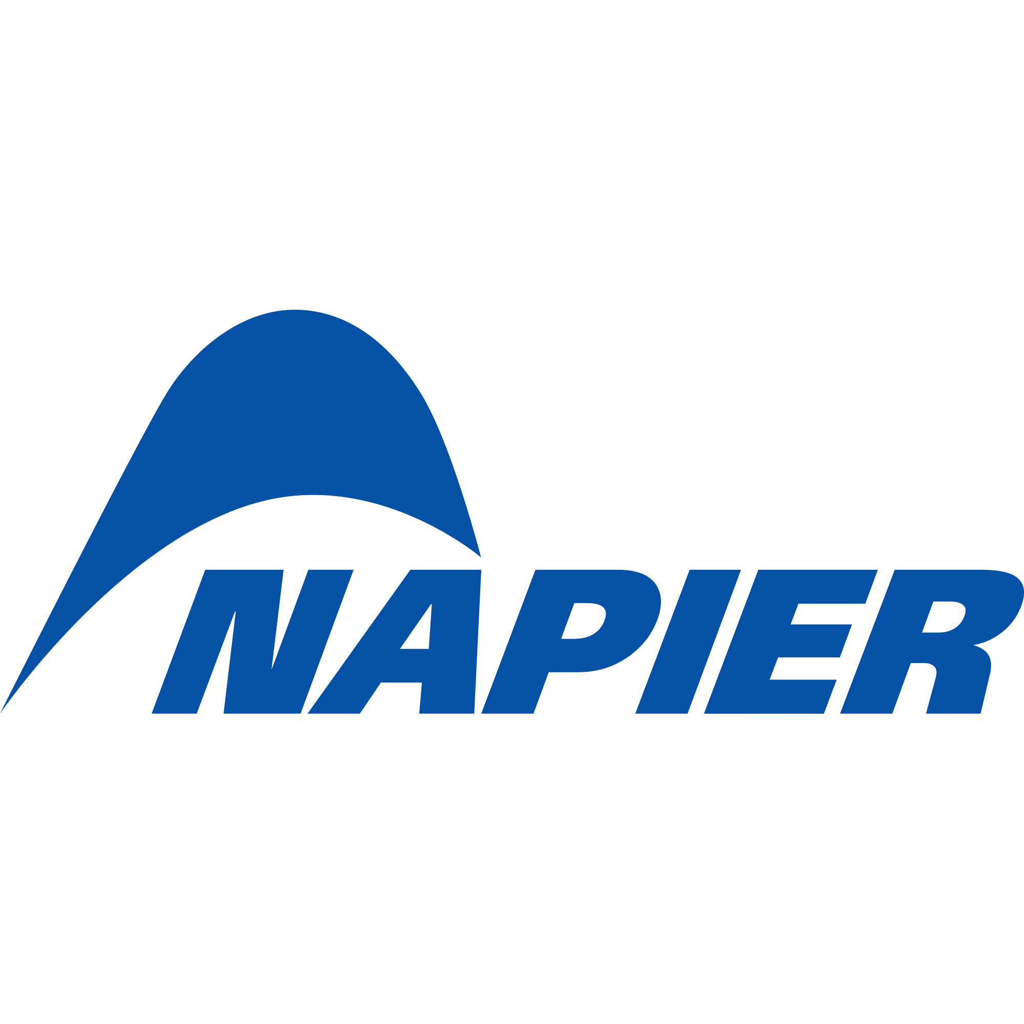 Napier Outdoors logo