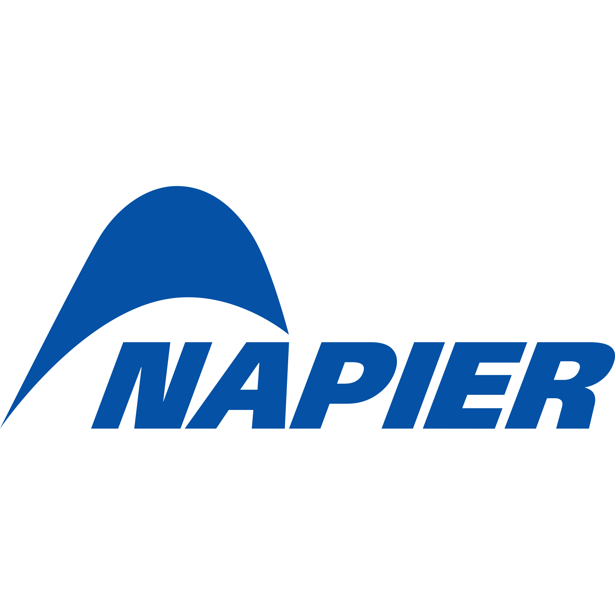 Napier Outdoors logo