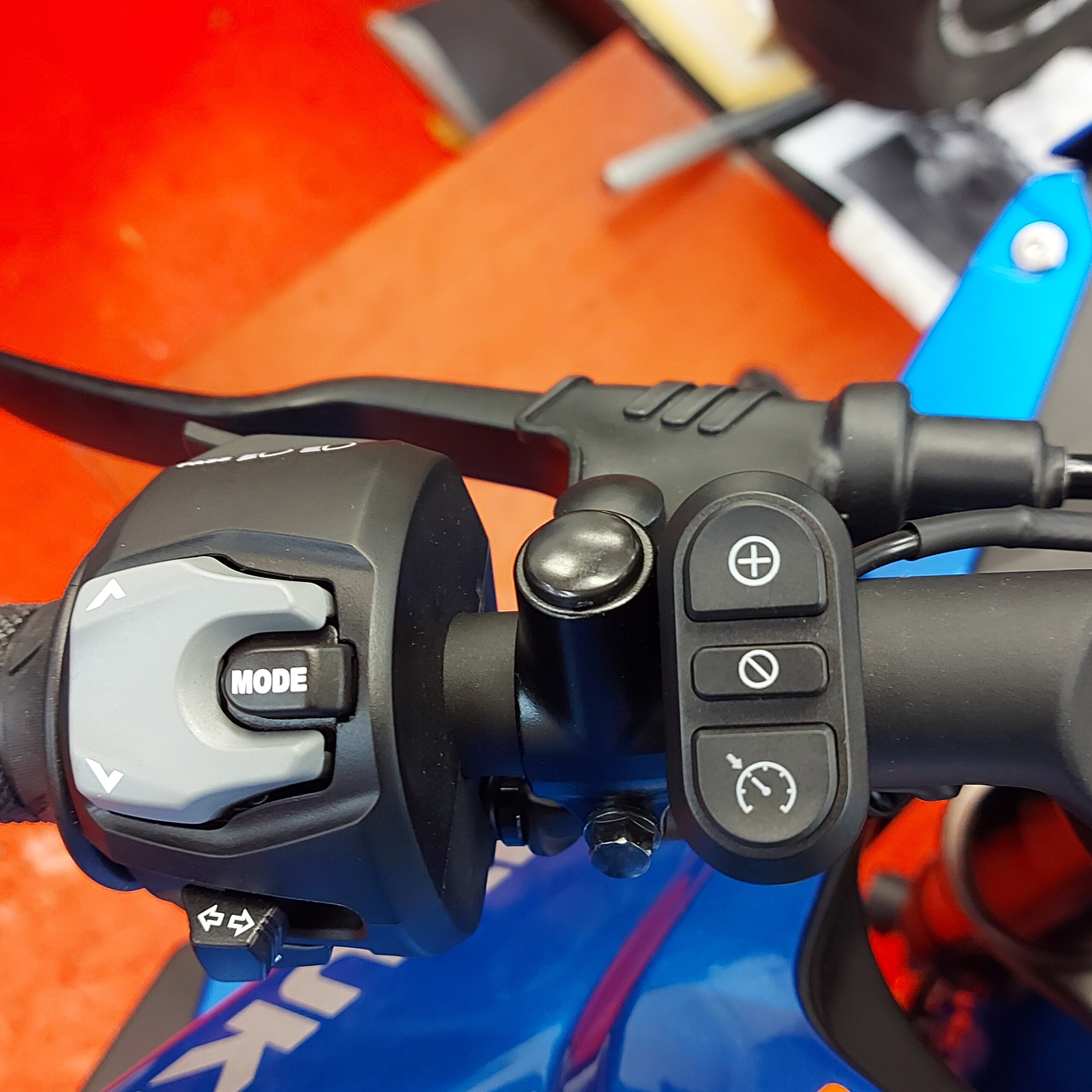 veridian cruise control