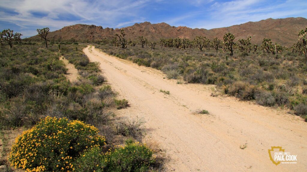 mojave desert