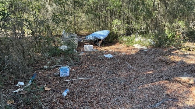 sweep up the southeast 2025