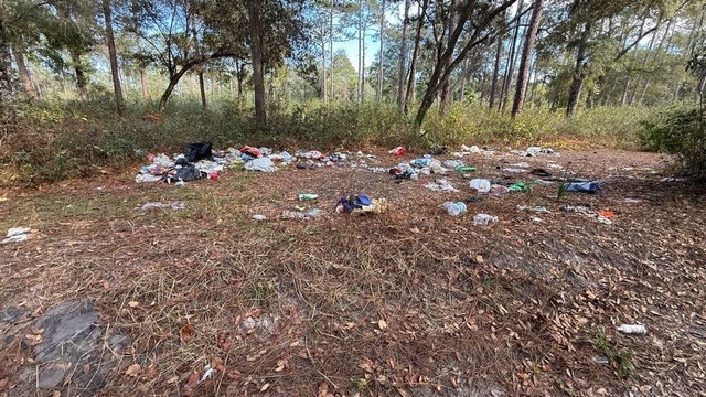 sweep up the southeast 2025